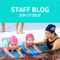 STAFF BLOG スタッフブログ